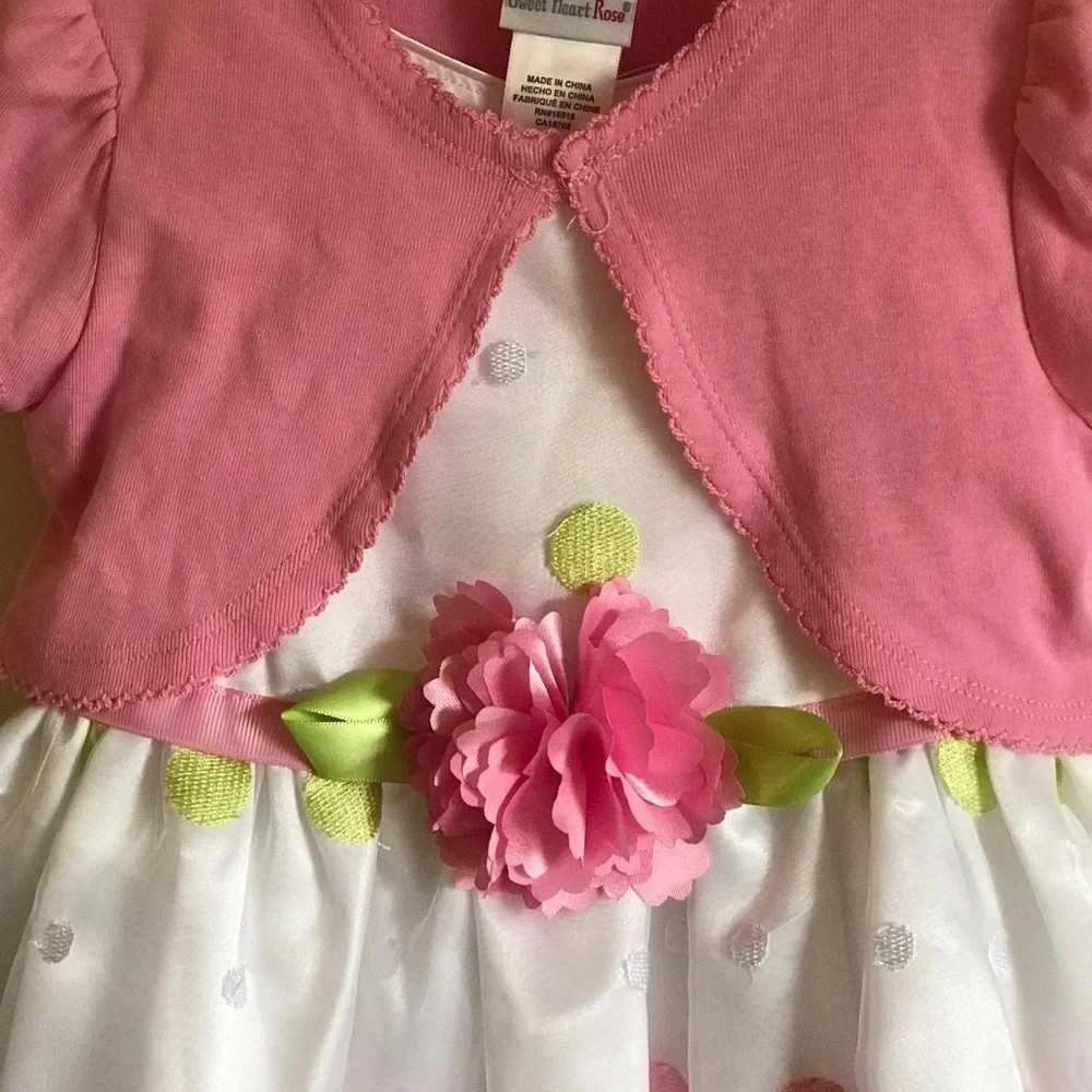 New Sweet Heart Rose Toddler Dress 2T